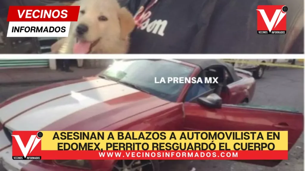 Asesinan A Balazos A Automovilista En Edomex Perrito Resguard El