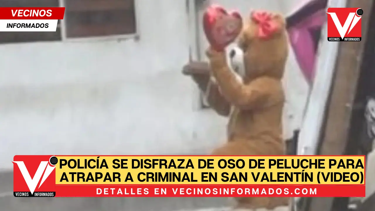 Polic A Se Disfraza De Oso De Peluche Para Atrapar A Criminal En San