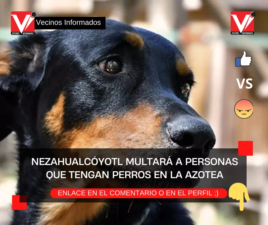 Nezahualcóyotl multará a personas que tengan perros en la azotea