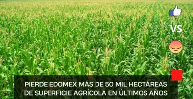 Pierde Edomex más de 50 mil hectáreas de superficie agrícola en últimos años