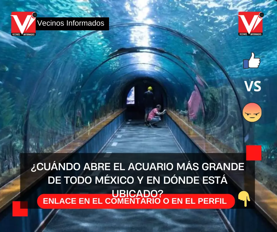¿Cuándo abre el acuario MÁS GRANDE de todo México y en dónde está ubicado?