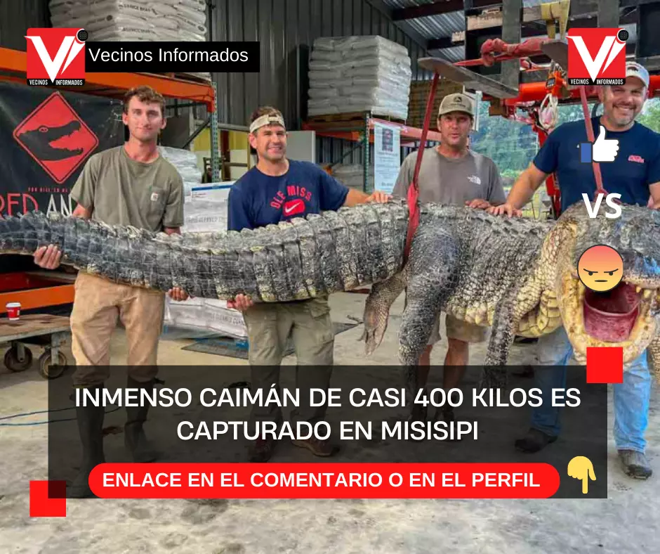 Inmenso caimán de casi 400 kilos es capturado en Misisipi