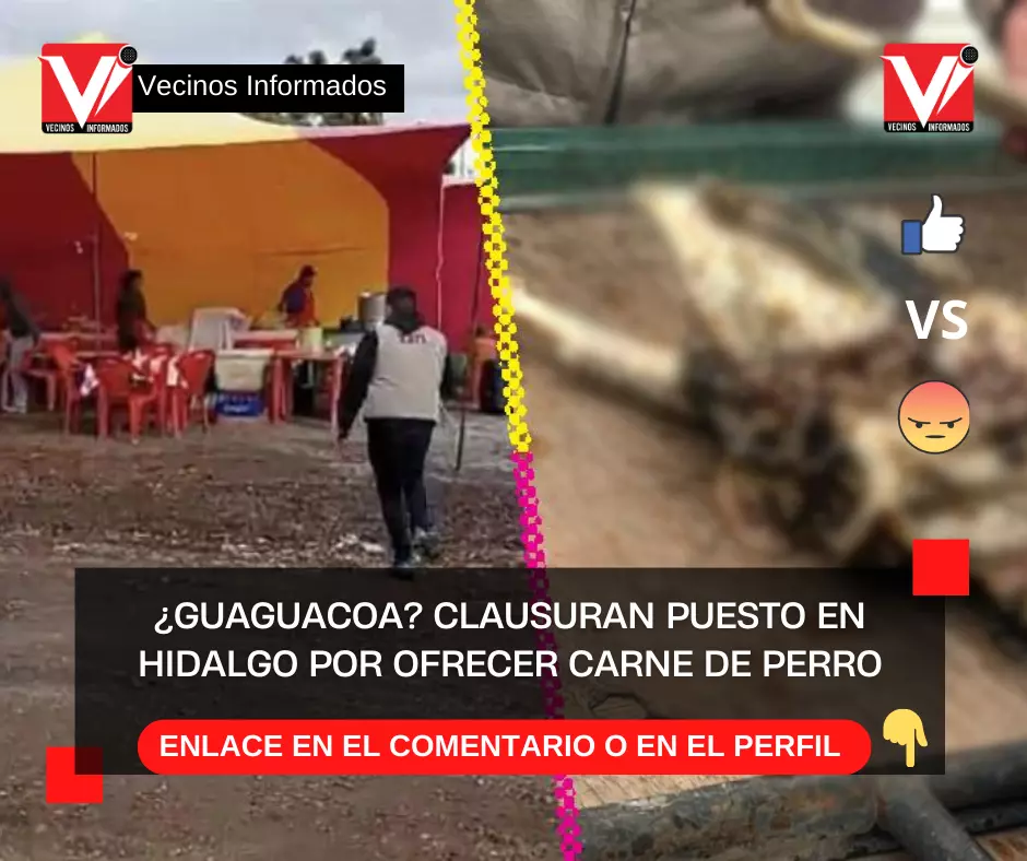 ¿Guaguacoa? Clausuran puesto en Hidalgo por ofrecer carne de perro