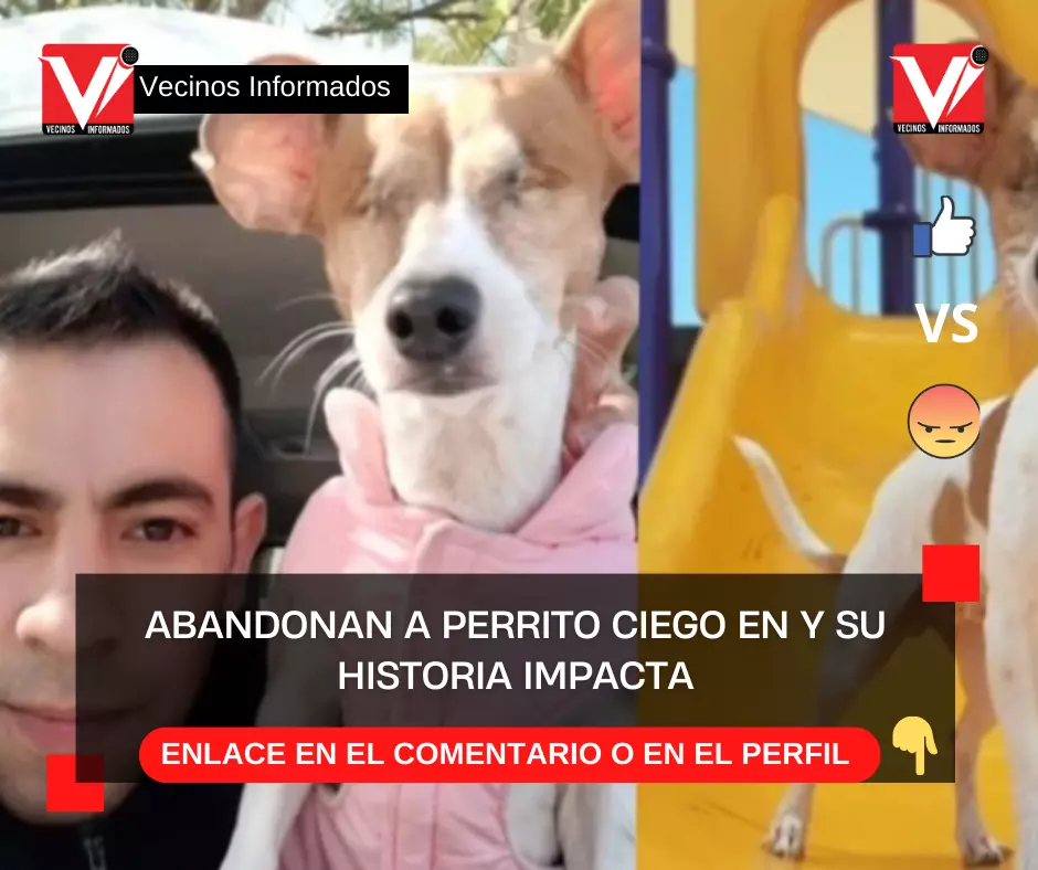 Abandonan a perrito ciego en Monterrey y su historia impacta en redes sociales