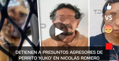 Detienen a presuntos agresores de perrito 'Kuko' en Nicolás Romero