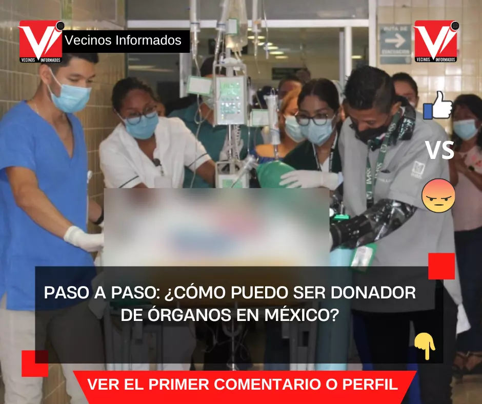 Paso a paso: ¿Cómo puedo ser donador de órganos en México?