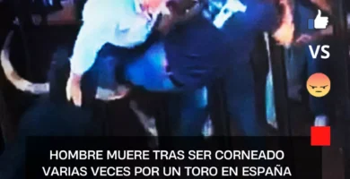 Hombre muere tras ser corneado varias veces por un toro en España |VIDEO