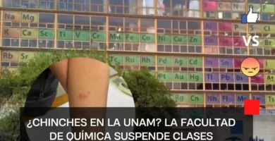 ¿Chinches en la UNAM? La Facultad de Química suspende clases para llevar a cabo una inspección en el campus