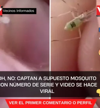 Oh, no: Captan a supuesto mosquito con número de serie y video se hace viral