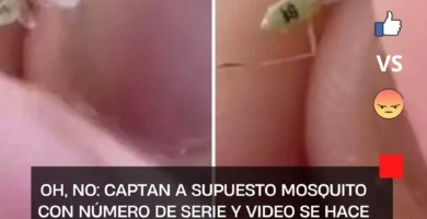 Oh, no: Captan a supuesto mosquito con número de serie y video se hace viral