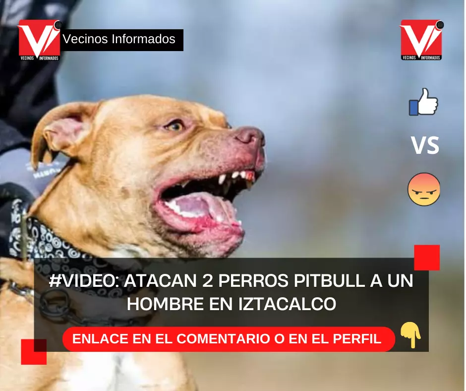 #VIDEO: Atacan 2 perros pitbull a un hombre en Iztacalco