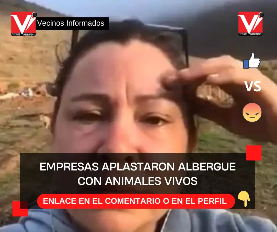 Empresas aplastaron albergue con animales vivos en Ensenada