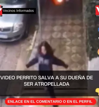 VIDEO Perrito SALVA a su dueña de ser atropellada