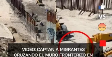 Video: Captan a migrantes cruzando el muro fronterizo en Tijuana con todo y perro