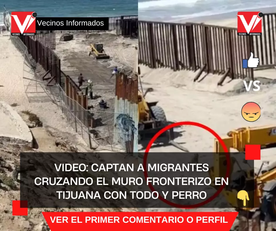 Video: Captan a migrantes cruzando el muro fronterizo en Tijuana con todo y perro