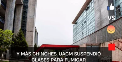 Y más chinches: UACM suspendió clases para fumigar