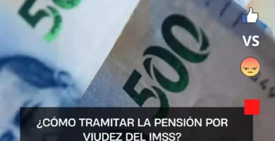 ¿Cómo tramitar la pensión por viudez del IMSS?