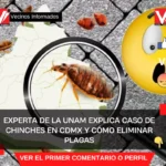 Experta de la UNAM explica caso de chinches en CDMX y cómo eliminar plagas