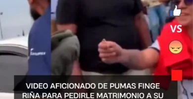 VIDEO Aficionado de Pumas finge riña para pedirle matrimonio a su novia en el Estadio Azteca