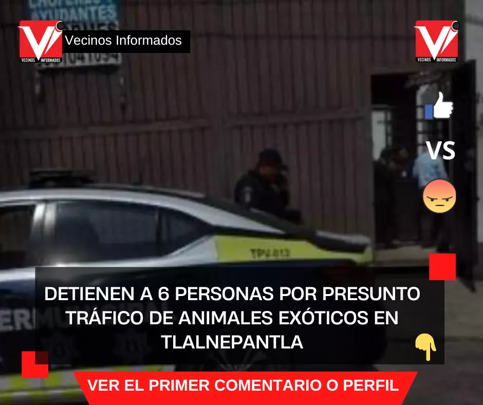 Detienen a 6 personas por presunto tráfico de animales exóticos en Tlalnepantla