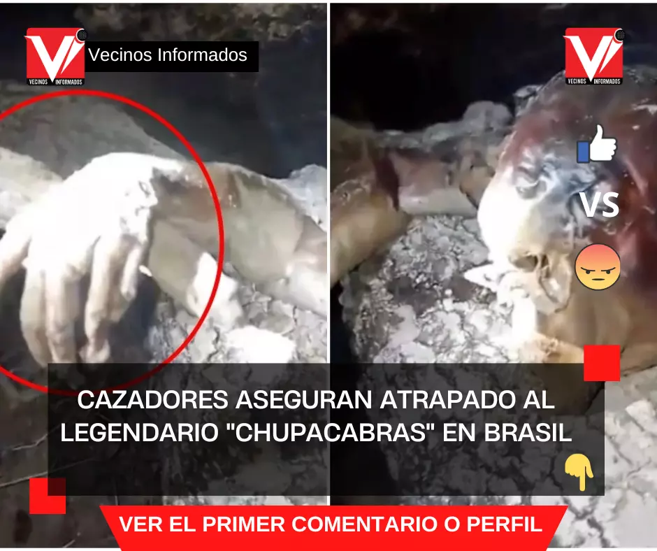 Cazadores aseguran atrapado al legendario "chupacabras" en Brasil