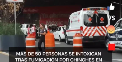 Videos: Más de 50 personas se intoxican tras fumigación por chinches en Tlalnepantla, Edomex