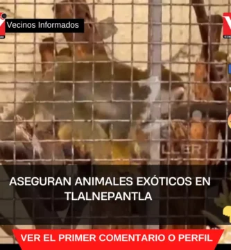 Aseguran animales exóticos en Tlalnepantla