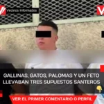 Gallinas, gatos, palomas y un feto llevaban tres supuestos santeros