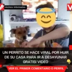 Se escapó con la vecina: un perrito se hace viral por huir de su casa para ir a desayunar gratis| VIDEO