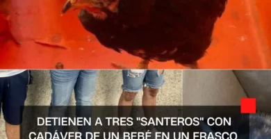 Detienen a tres "santeros" con cadáver de un bebé en un frasco, en la Morelos