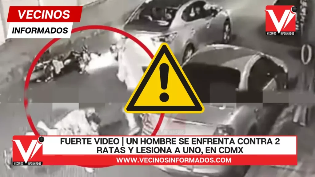 VIDEO | Un hombre se enfrenta contra 2 ratas y lesiona a uno, en CDMX