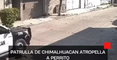 Patrulla de Chimalhuacan atropella a perrito