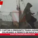 VIDEO: Captan a presunto trabajador de limpia golpeando a perrito en Naucalpan