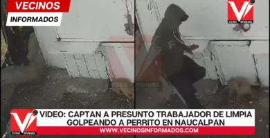 VIDEO: Captan a presunto trabajador de limpia golpeando a perrito en Naucalpan