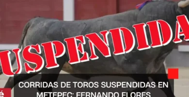 Corridas de Toros Suspendidas en Metepec: Fernando Flores