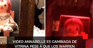 VIDEO Annabelle es cambiada de vitrina pese a que los Warren advirtieron no tocarla