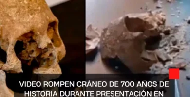 VIDEO Rompen cráneo de 700 años de historia durante presentación en Cholula, Puebla
