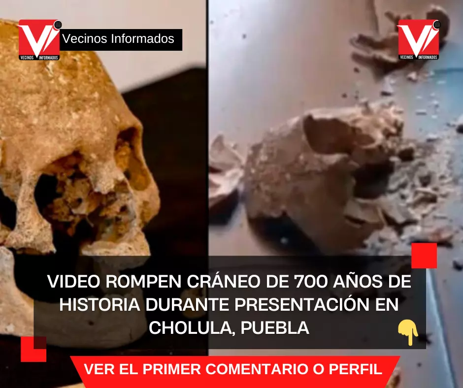 VIDEO Rompen cráneo de 700 años de historia durante presentación en Cholula, Puebla