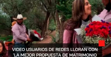 VIDEO Usuarios de redes lloran con ‘La mejor propuesta de matrimonio del mundo’