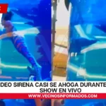 VIDEO Sirena casi se ahoga durante pleno show en vivo