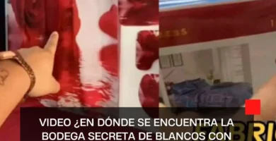 VIDEO ¿En dónde se encuentra la bodega secreta de blancos con colchas y cortinas desde 140 pesos?