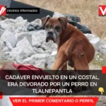 Cadáver envuelto en un costal, era devorado por un perro en Tlalnepantla