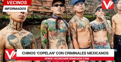 Chinos ‘copelan’ con criminales mexicanos