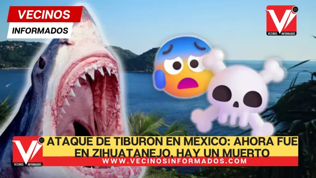 Otro ataque de tiburón en México: Ahora fue en Zihuatanejo, hay un muerto y un herido