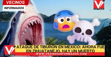Otro ataque de tiburón en México: Ahora fue en Zihuatanejo, hay un muerto y un herido