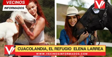 Cuacolandia, el refugio para caballos que la activista Elena Larrea financia