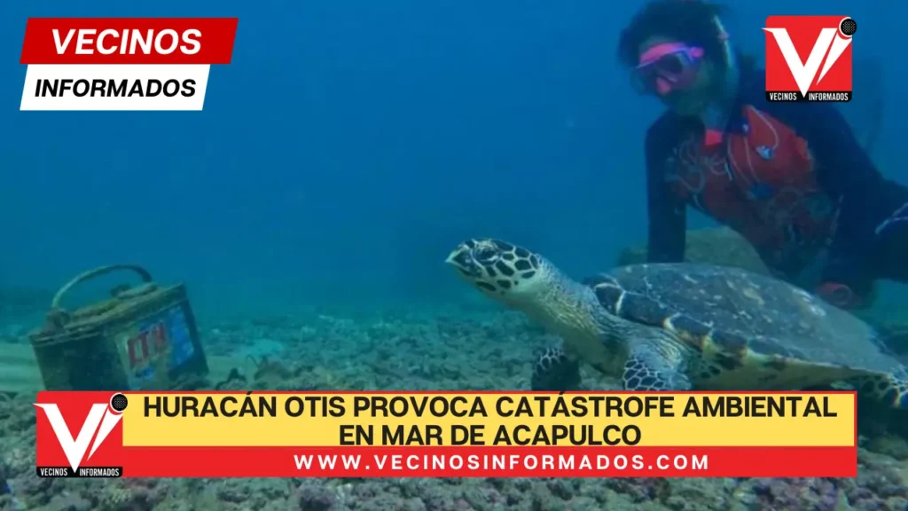 Huracán Otis provoca catástrofe ambiental en mar de Acapulco