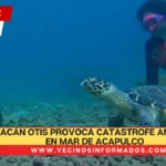 Huracán Otis provoca catástrofe ambiental en mar de Acapulco