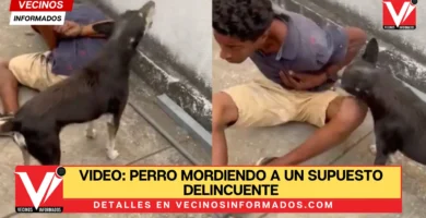VIDEO: Perro mordiendo a un supuesto delincuente en Ecuador se hizo viral