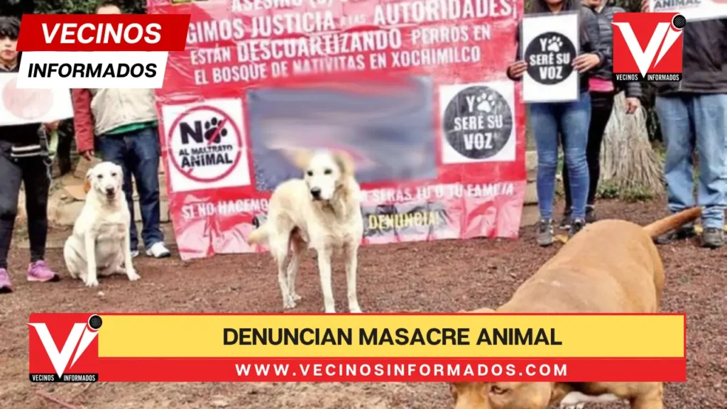 Vecinos de Bosque de Nativitas temen asesino serial de perros; 21 han sido desollados